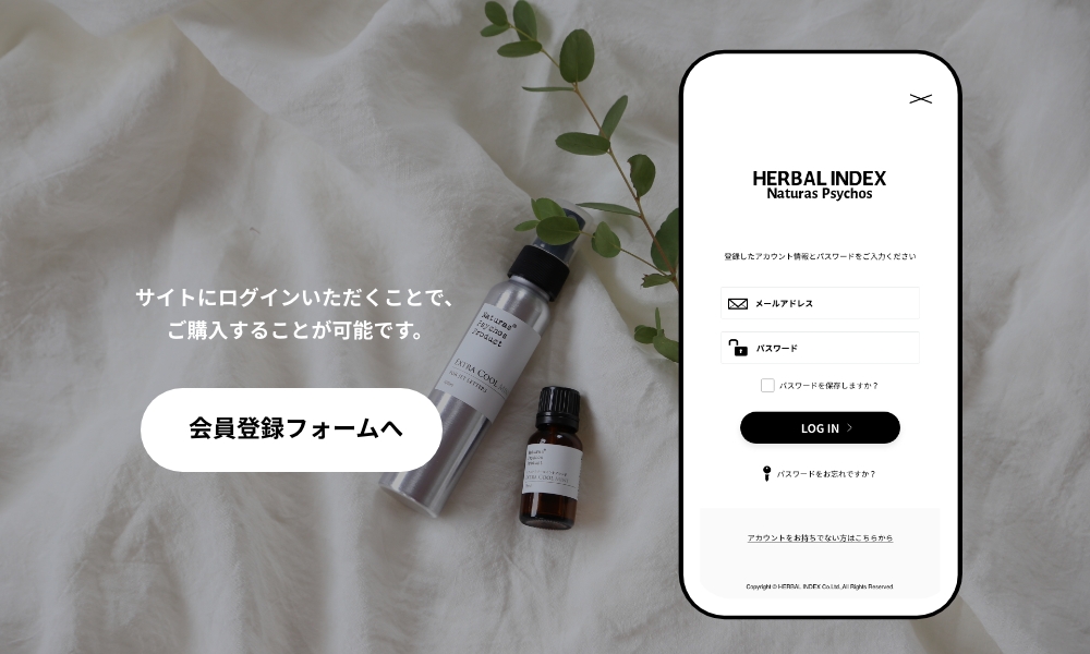 ショッピングガイド